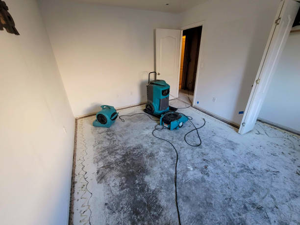 Best Emergency water damage restoration  in Orwell, OH