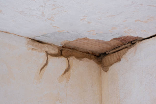Best Professional water damage repair  in Orwell, OH
