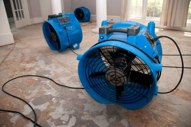 Best Water damage cleanup near me  in Orwell, OH